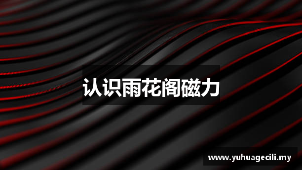 认识雨花阁磁力